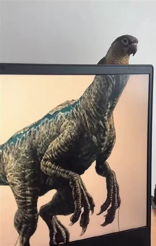 via 8号沙雕网友