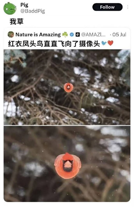 via 7号沙雕网友