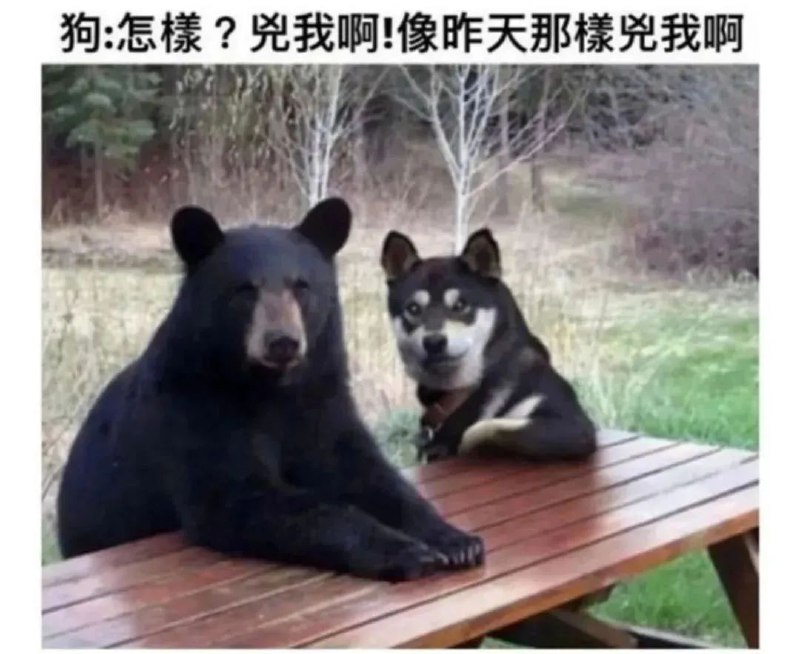 from 什麼都來點 via DECADE