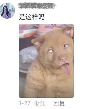 段子请勿上纲上线段子请勿上纲上线
