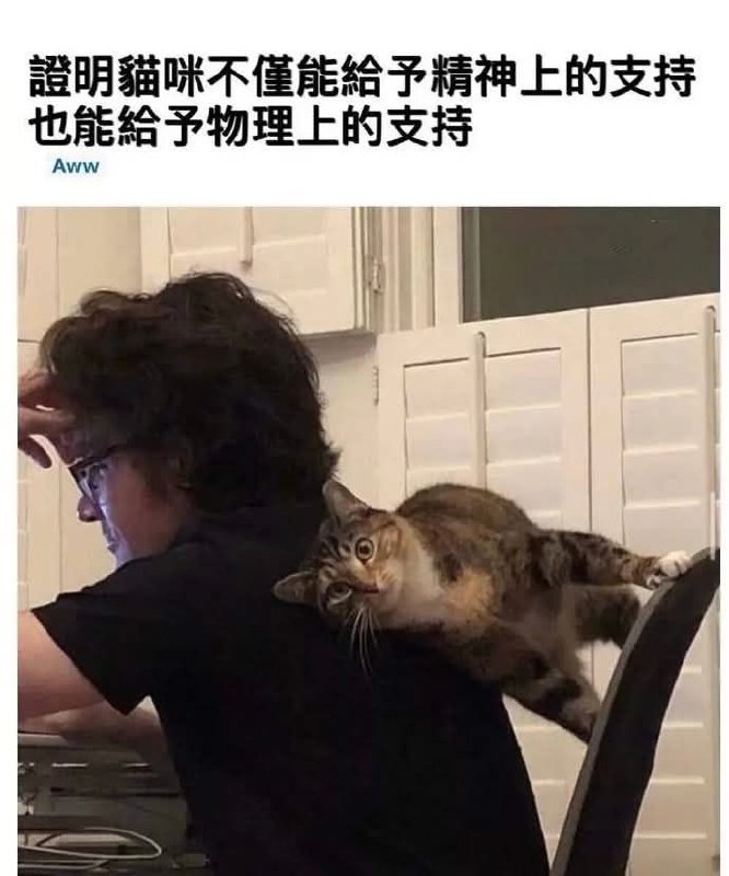 from 什麼都來點 via DECADE