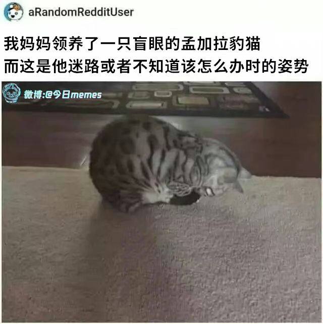 via 犯罪嫌疑人张某
