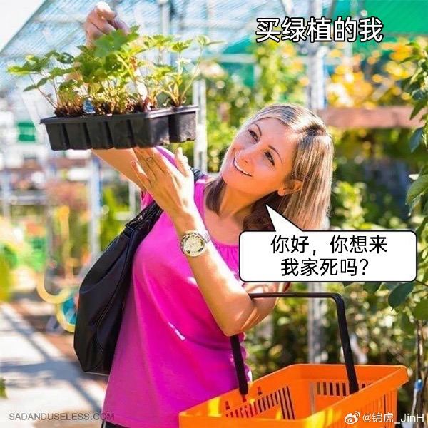 via 每日提肛小助手 今天你提了嘛