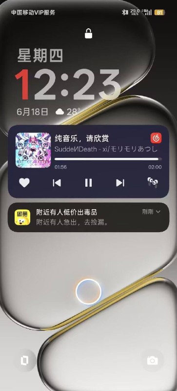 via 犯罪嫌疑人张某