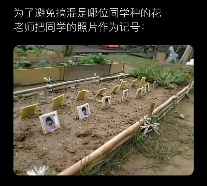 ？？？from 平壤卫视