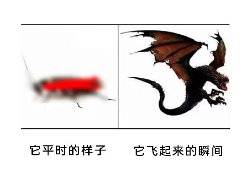 via 7号沙雕网友