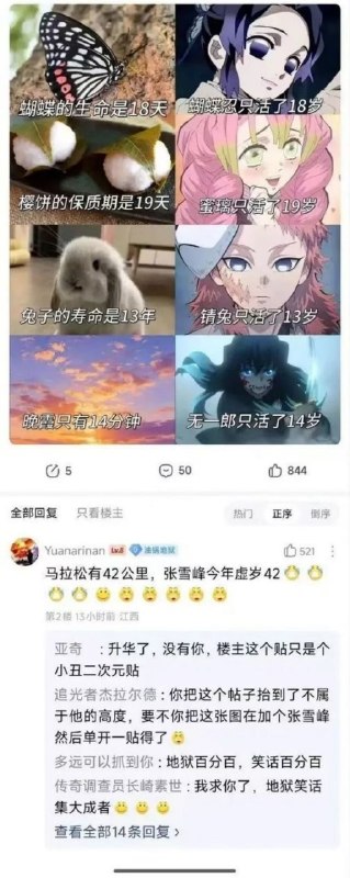 via 鸭累鸭累