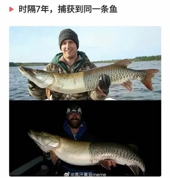 via 6号沙雕网友