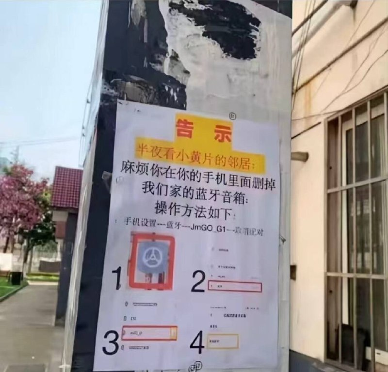🌚from 平壤卫视