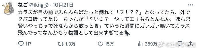一只乌鸦在我面前摇摇晃晃突然倒下，我吓得喊了一声“哇！？？”正当我不知所措时，正在外面抽烟的大爷说