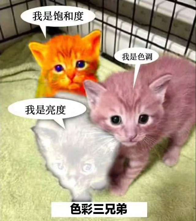 via ssss ssss