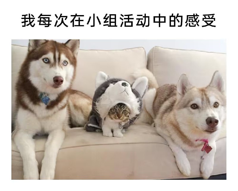 via 7号沙雕网友