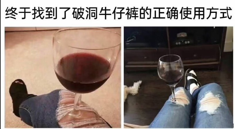 from 猫猫窝🐱from 猫猫窝🐱