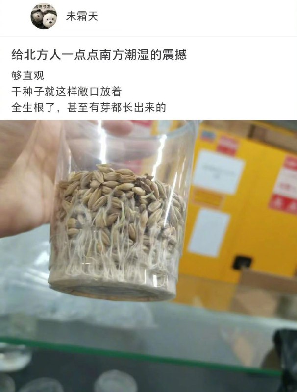via 君生我未生，我生君已老