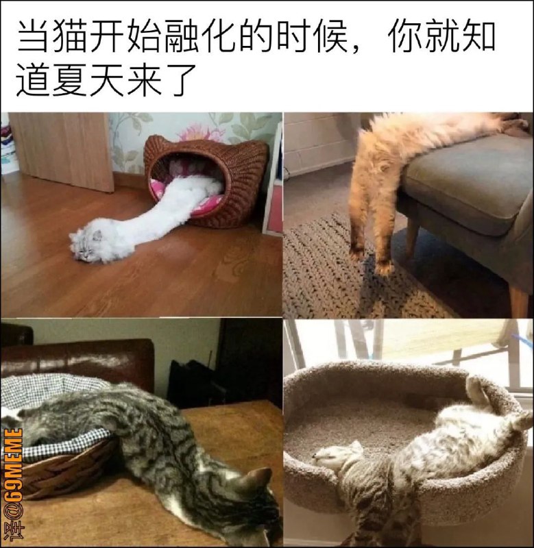 from 猫猫窝🐈🐈‍⬛