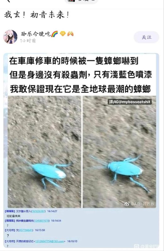 via Bingxin Baka