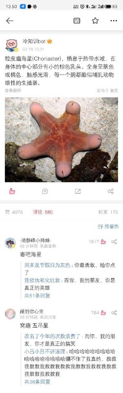 via 𝕏ue 𝕏ue 苏雪宁