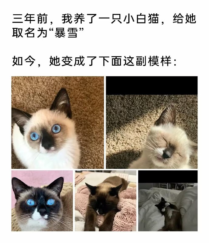via 7号沙雕网友