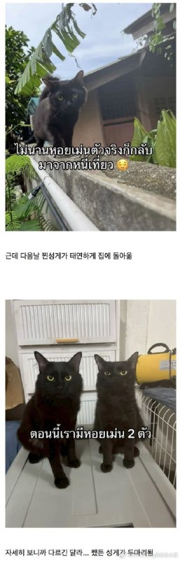from 廣告狗死媽 via DECADEfrom 廣告狗死媽 via DECADE