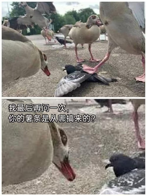 via 6号沙雕网友