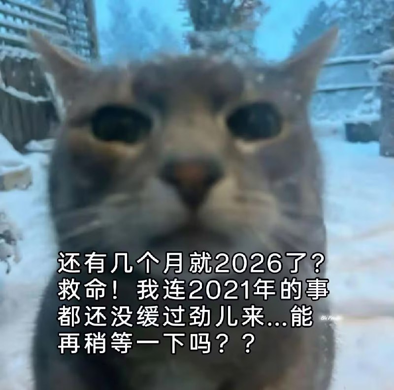 via 7号沙雕网友