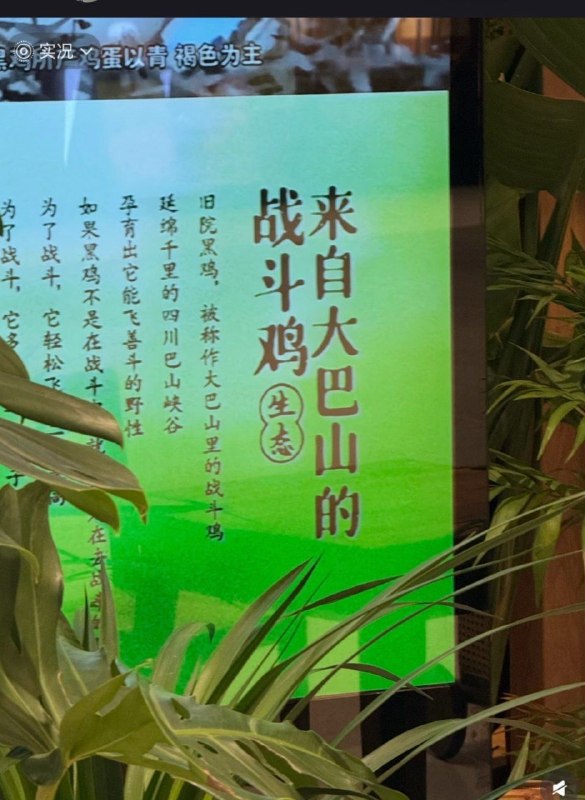 from ibuki🏖🔭🎮帰宅部