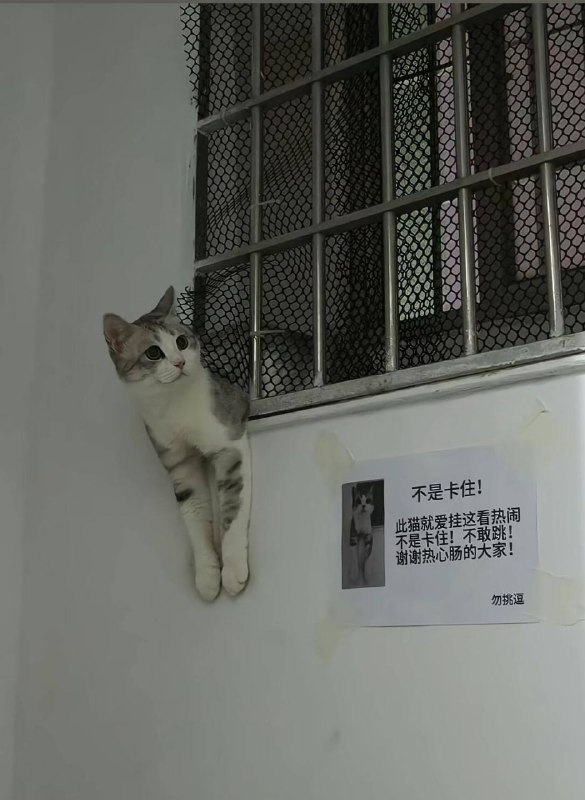via cy