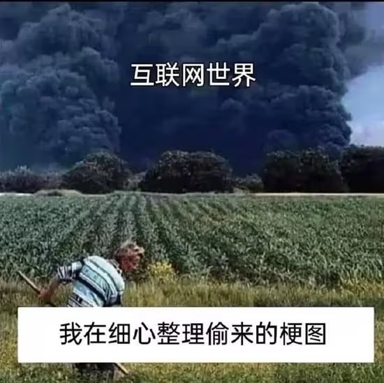 via 油菜花终结者
