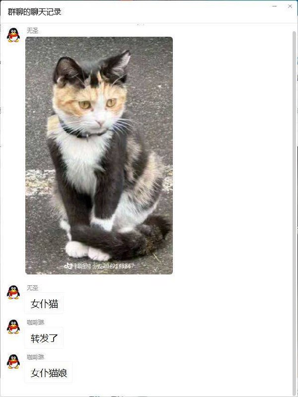 这次真的是猫娘via cy