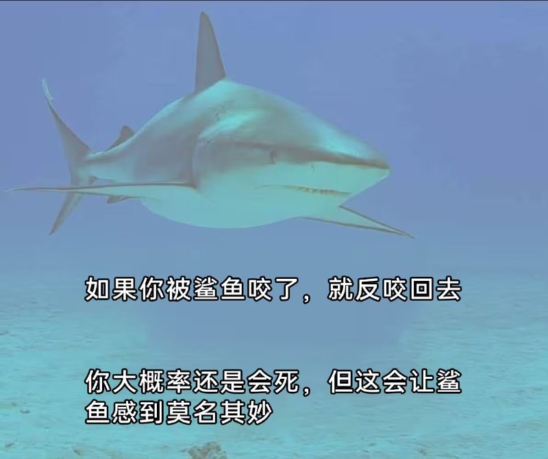 via 7号沙雕网友