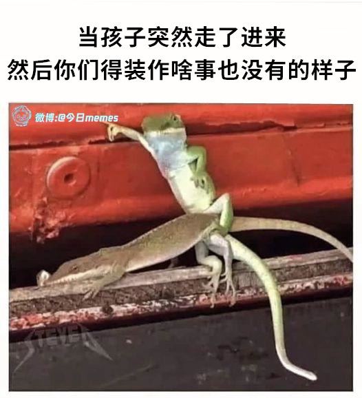 via 每日提肛小助手 今天你提了嘛