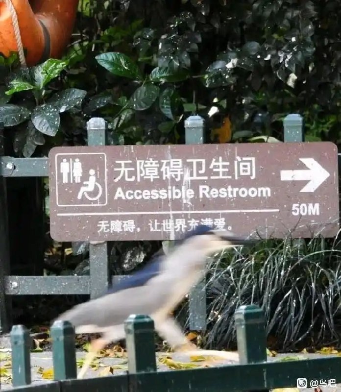 via 8号沙雕网友via 8号沙雕网友