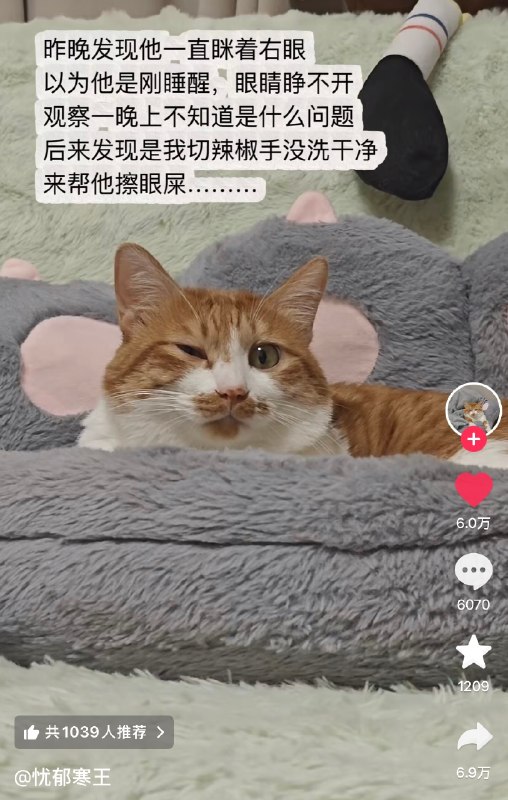 from 煎蛋无聊图from 煎蛋无聊图