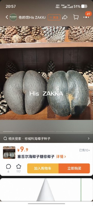 via 来自矣 001via 来自矣 001