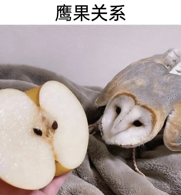 via 无名氏