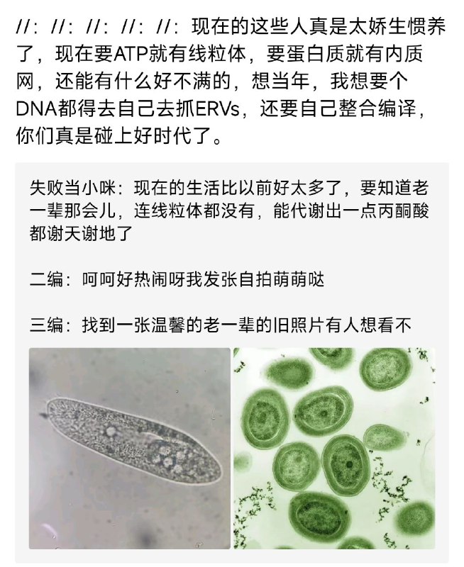from rvalue的生草日常