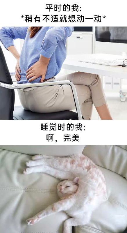 via 6号沙雕网友