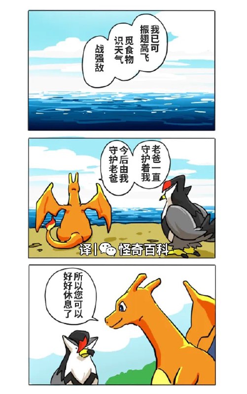 小火龙的故事from 猫猫窝🐱小火龙的故事from 猫猫窝🐱