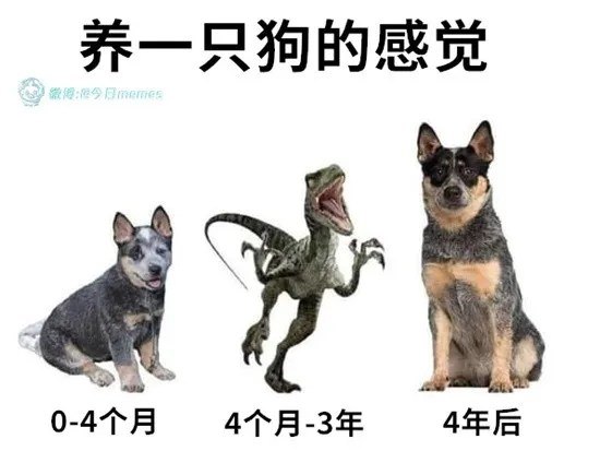 via 6号沙雕网友