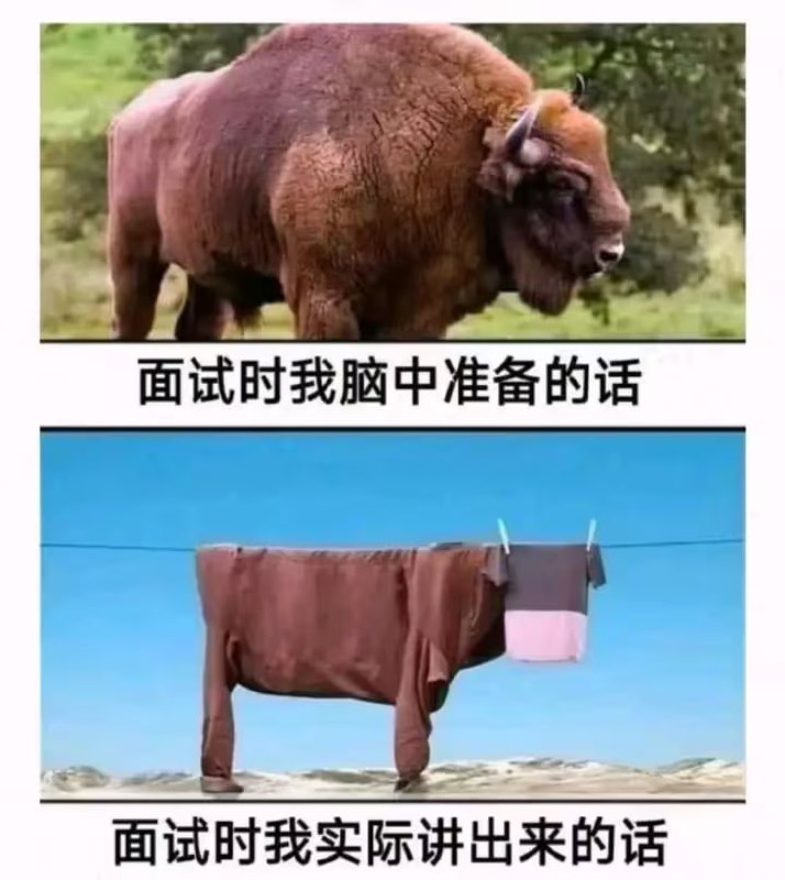 via 7号沙雕网友