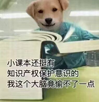 期末复习的你be likefrom 二刺猿日常
