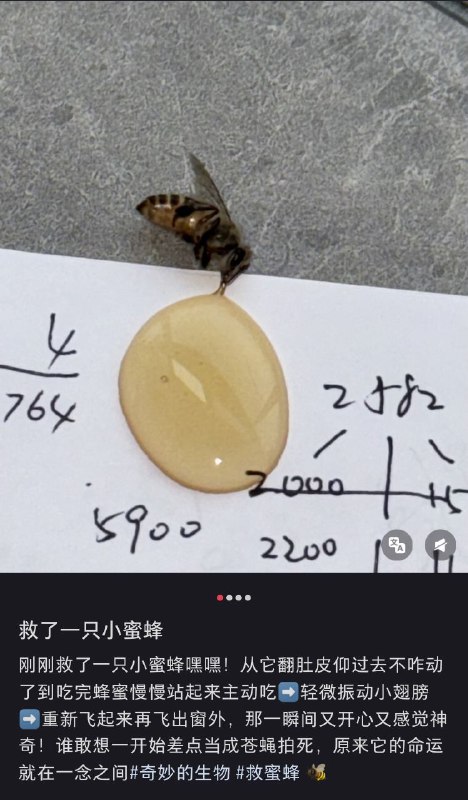 via Eine Katzevia Eine Katze