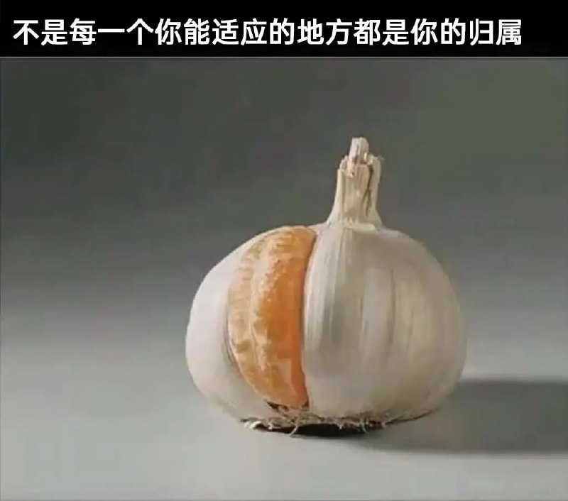 via 7号沙雕网友