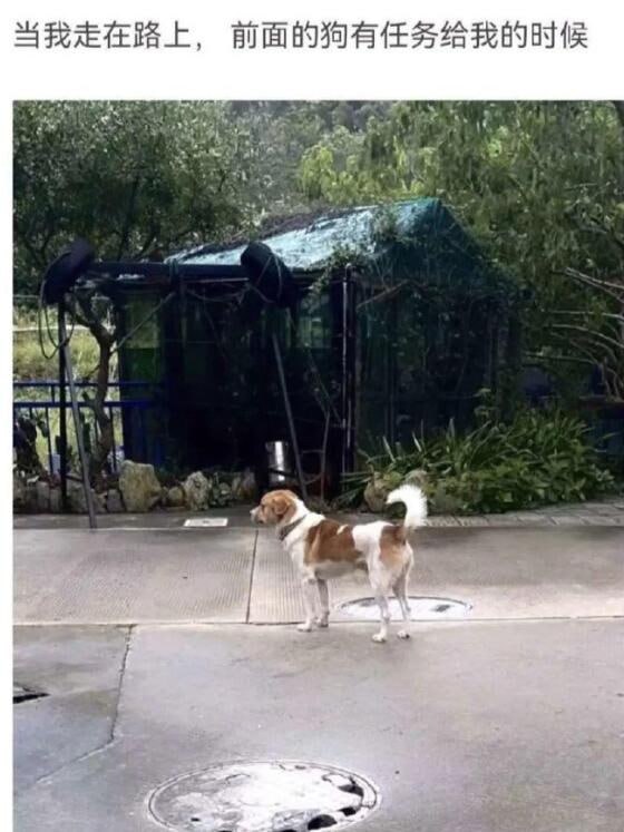 via 6号沙雕网友