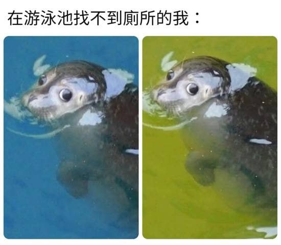 via 7号沙雕网友