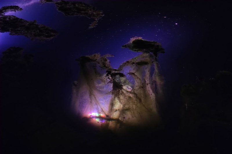 路过一个水池，发现射灯附近有一些絮状水藻，看起来像星云via 霁寒霄路过一个水池，发现射灯附近有一些絮状水藻，看起来像星云via 霁寒霄