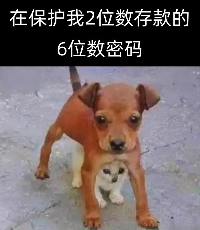 via 犯罪嫌疑人张某