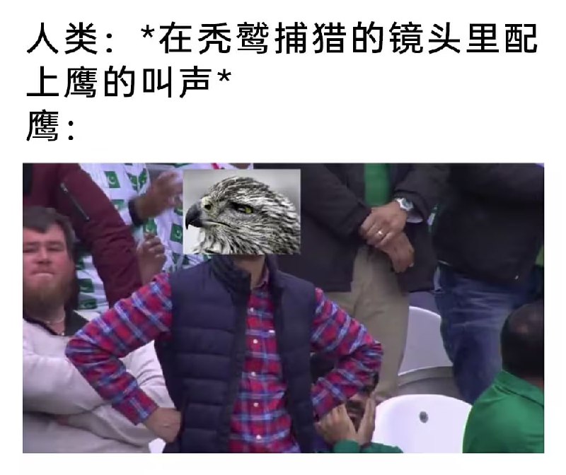 via 7号沙雕网友