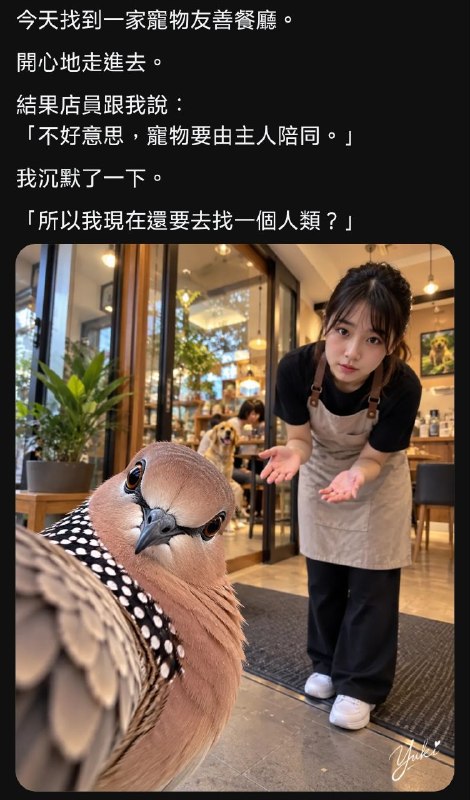 from 發點囧圖 via DECADE