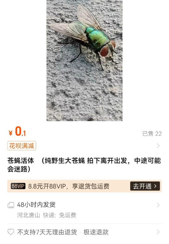 “已售22”via Ծ‸Ծ史上特大 屁股 🅥 ᯤ⅘ᴳ